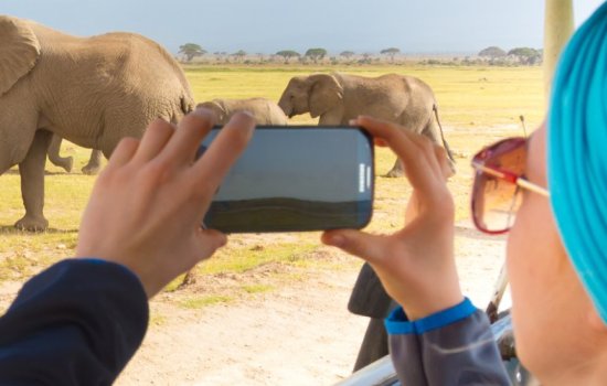 Rethinking Wildlife Tourism