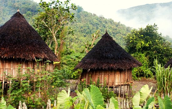 Papua New Guinea Small Group Adventures