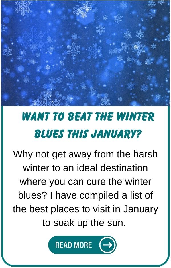 Beat the winter blues