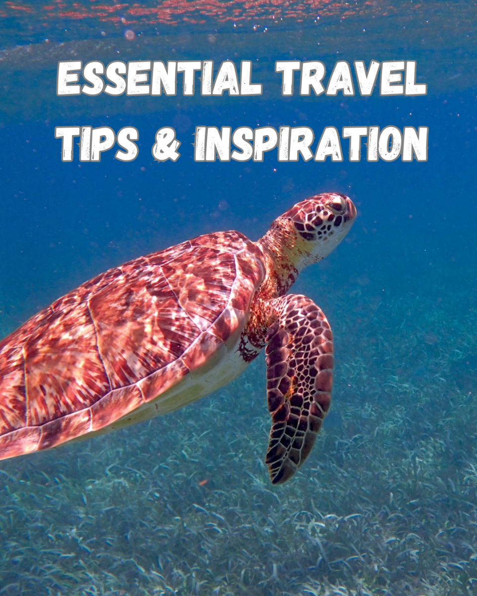 Essential Travel Tips and Inspiration