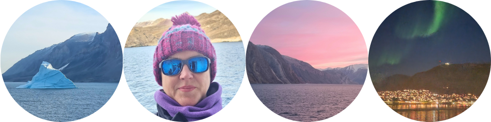 Northern Lights expedition cruise in the Arctic