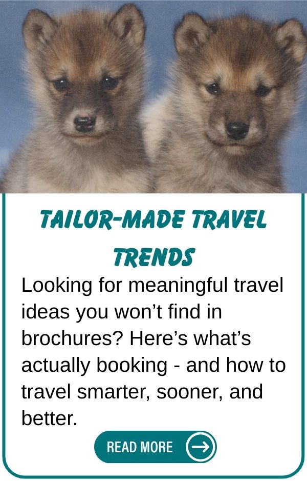 Tailor Made Travel Trends
