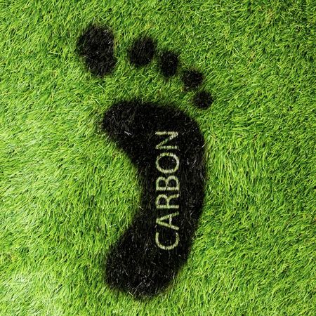 Carbon footprint symbol on grass representing offsetting